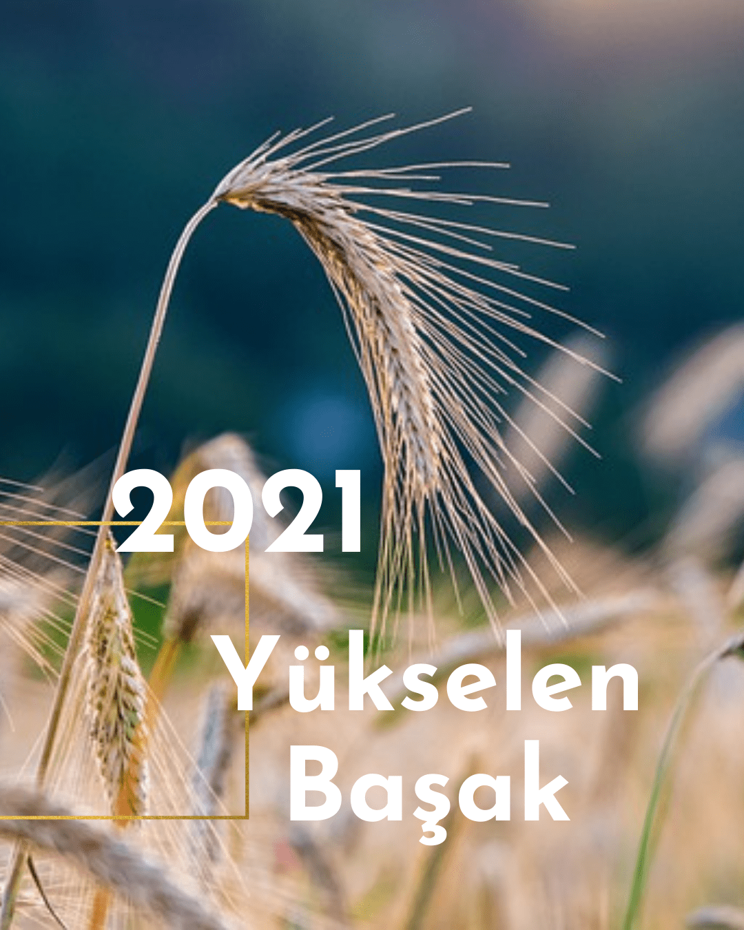 2021-yukselen-basak